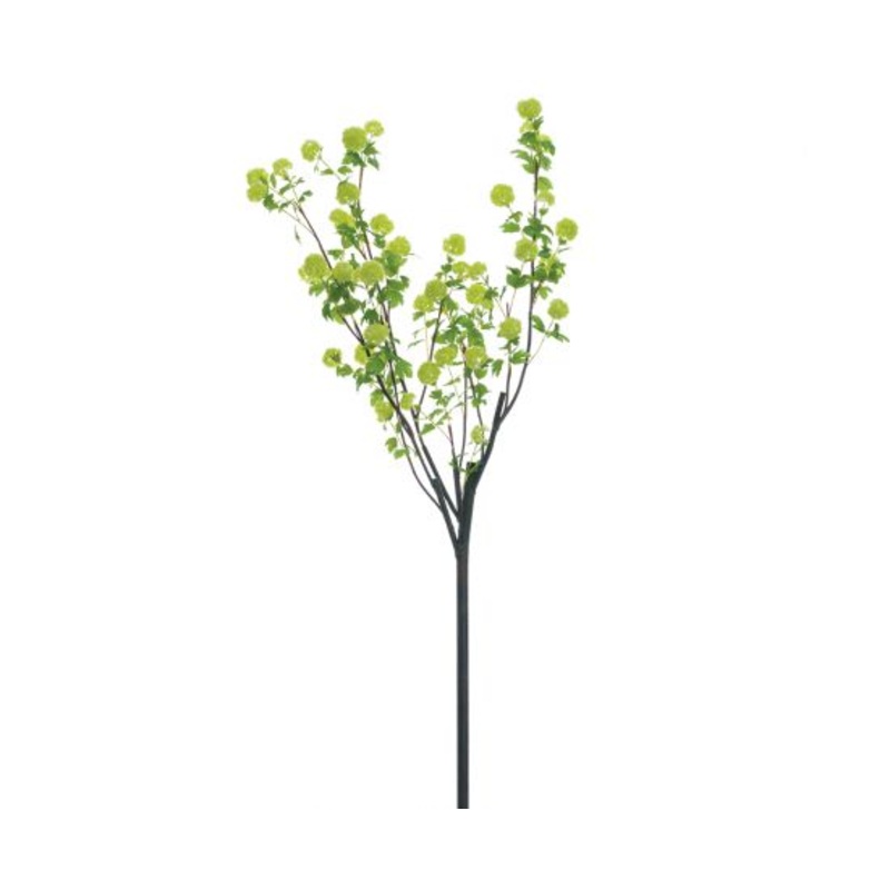 108″ Snowball Viburnum