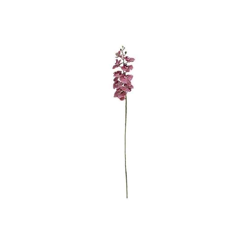 PINK ORCHID STEM