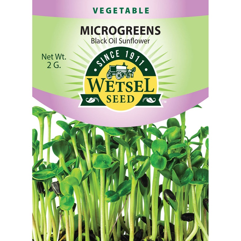 Wetsel Seed Microgreens Black Oil Sunflower Seed