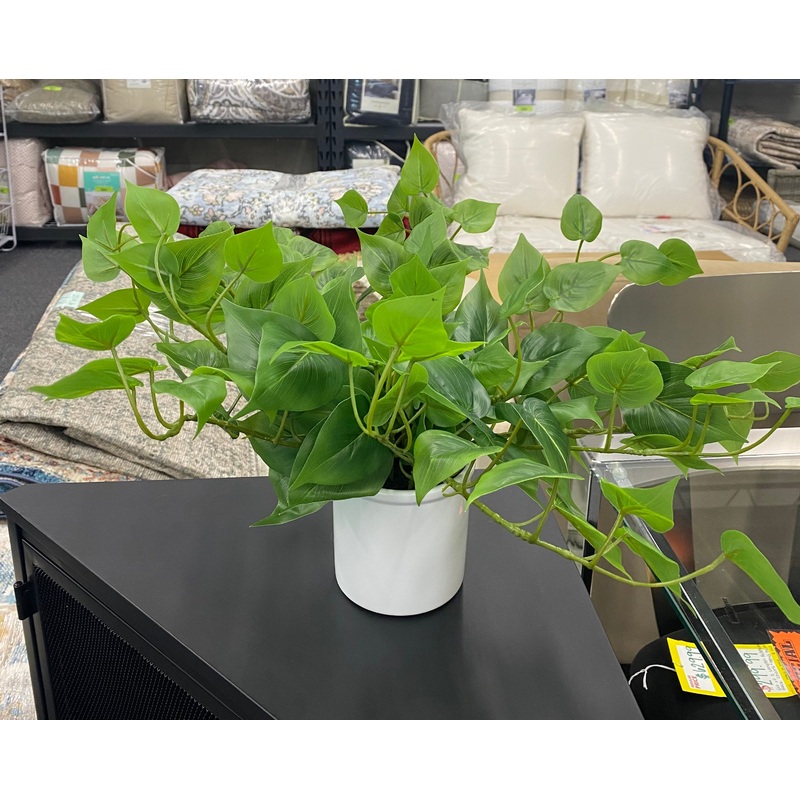 Pothos Faux Plant