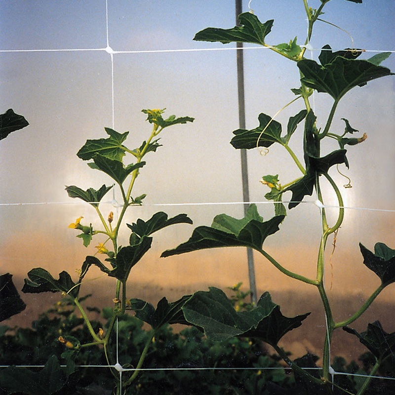 Hortonova Crop Support Trellis