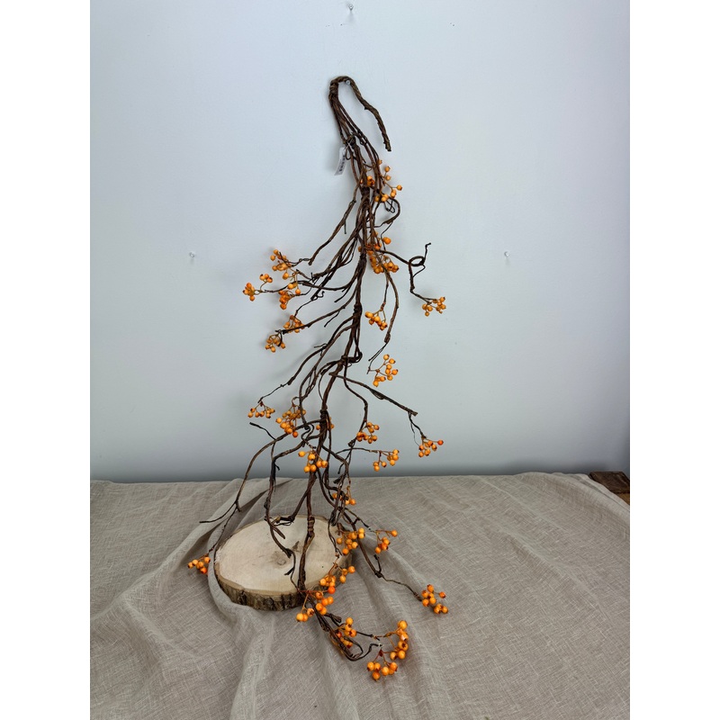 Bendy Bittersweet Branch