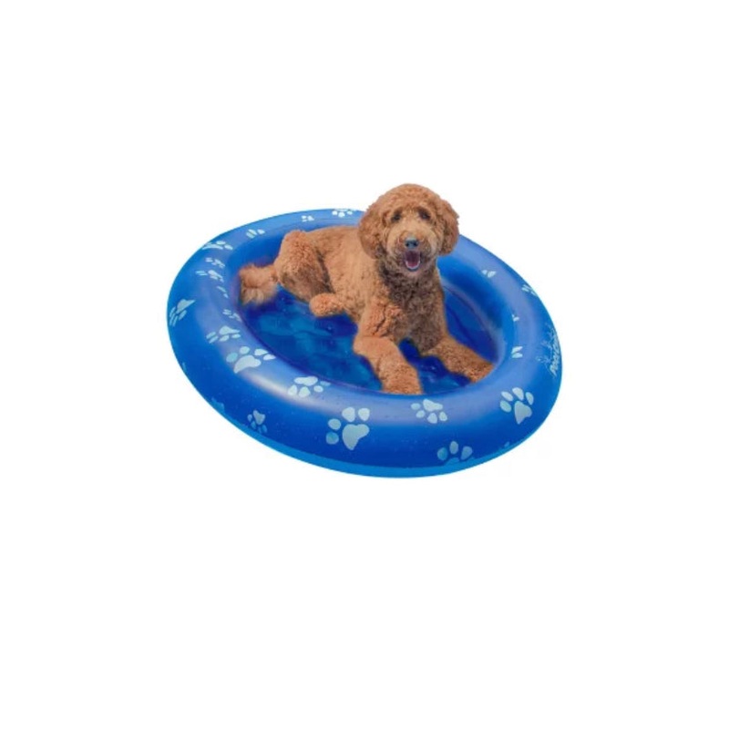 Pool Candy Dog Pool Float and Lounger