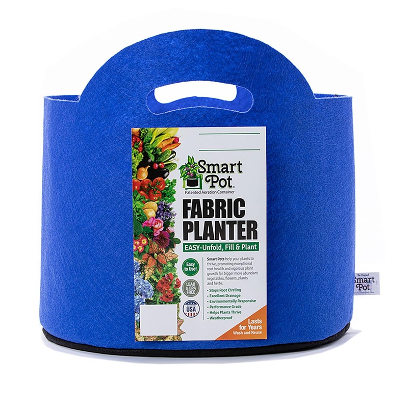 Smart Pot Berry Blue Fabric Planters