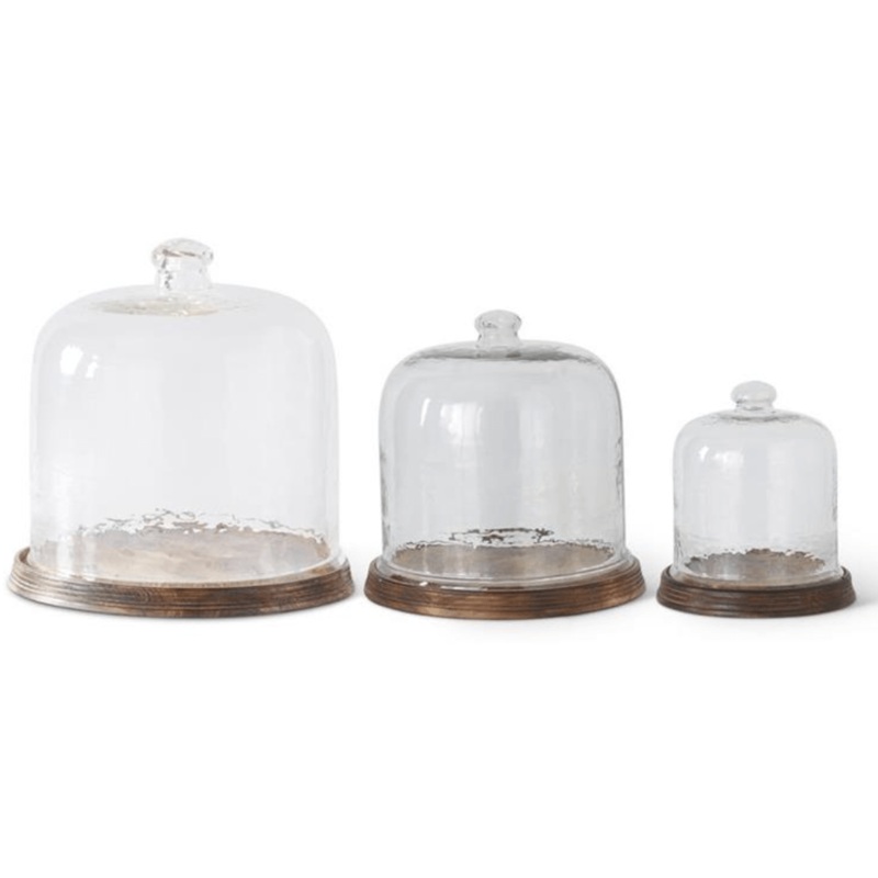 Wavy Glass Cloche w/Wood Tray Base