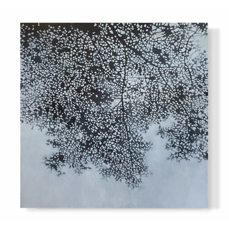 “Canopy at Dusk”