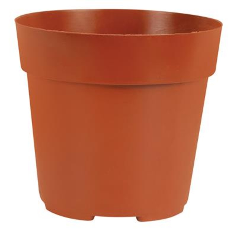 Mini Succulent Pot