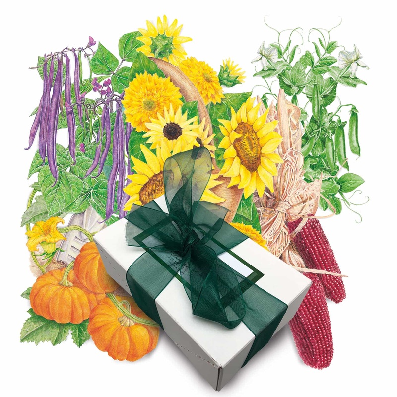 Children’s Garden Gift Set