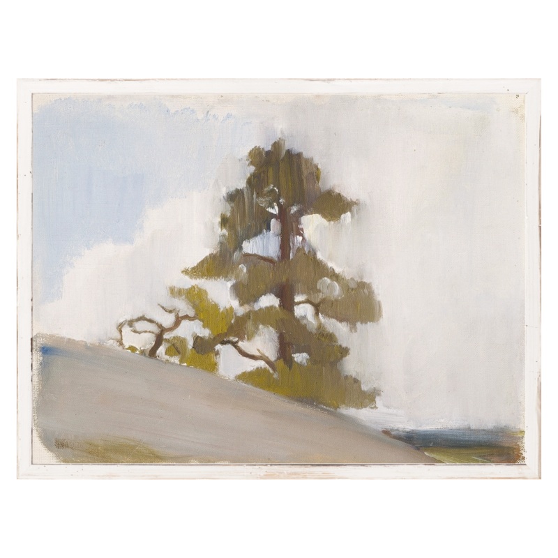 “Cliffside Pine” Framed Art Print