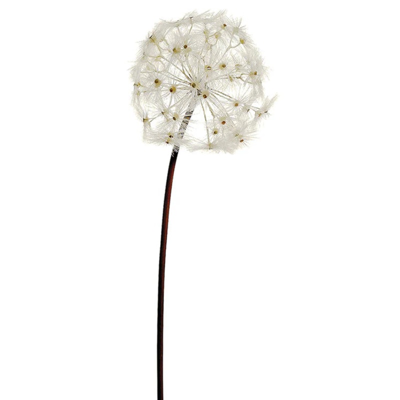28″ Dandelion Stem
