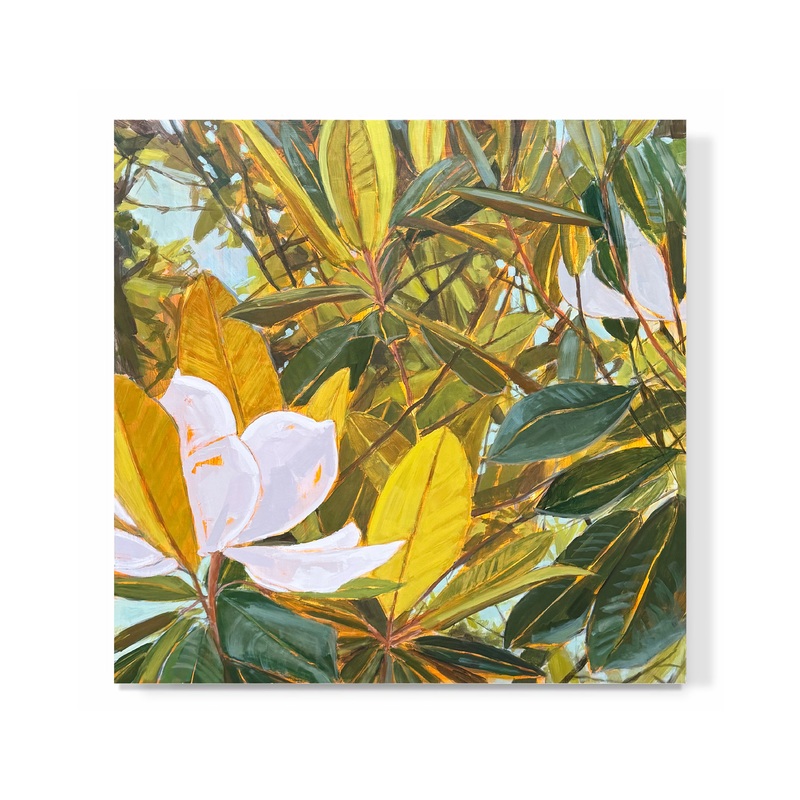 “Grande Magnolia No. 1”