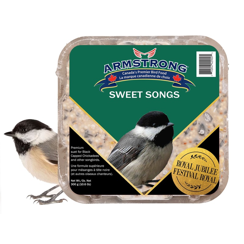 Armstrong Wild Bird Food Royal Jubilee Sweet Songs Suet Cake for Songbirds, 10.6oz (Pack of 3)
