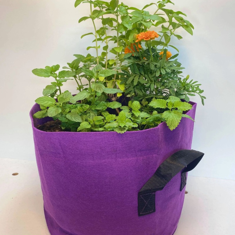 GrowBag Garden Lab – Tea