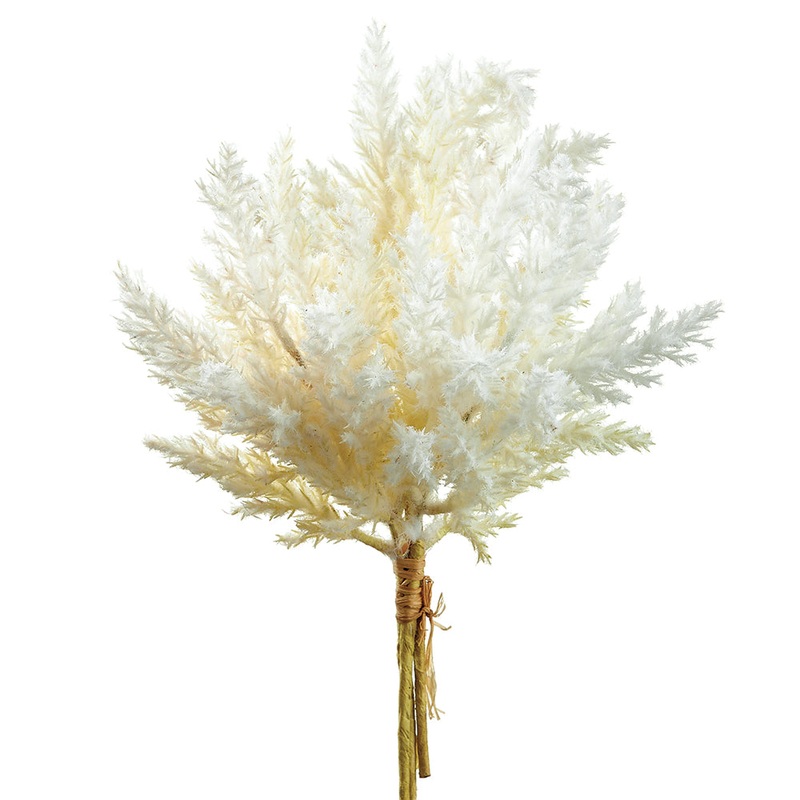 Pampas Grass Bundle – Ivory