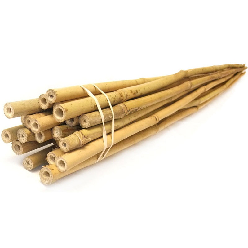 Bamboo Stakes