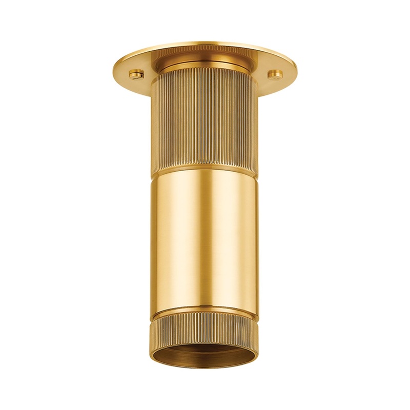 Dighton Flush Mount Ceiling Light