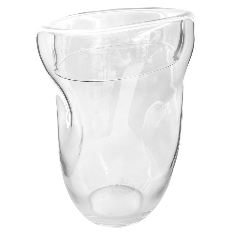 Glass organic vase clear