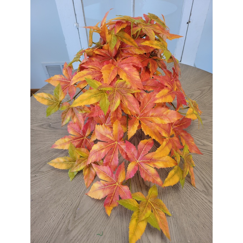 Japanese Maple Leaf Vine