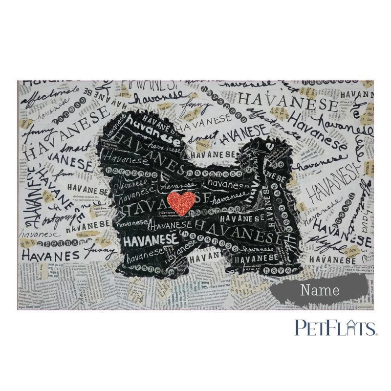 Custom Havanese PetFlat – Premium Vinyl Mat