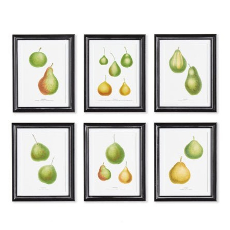 Pear Study
