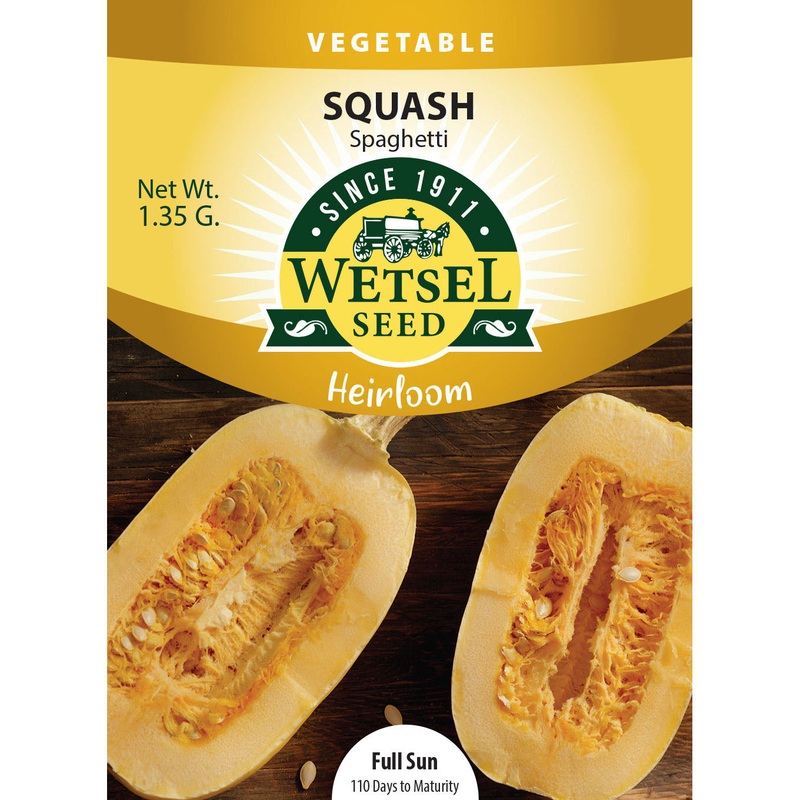 Wetsel Seed Heirloom Squash Spaghetti Seed