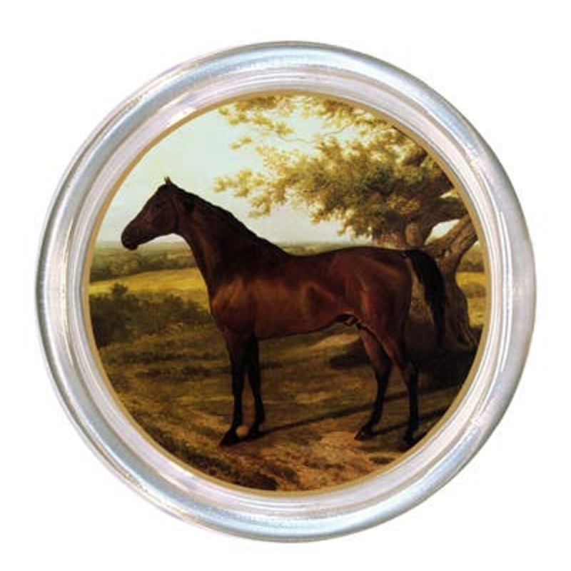 Bay Horse Facing Left Coaster