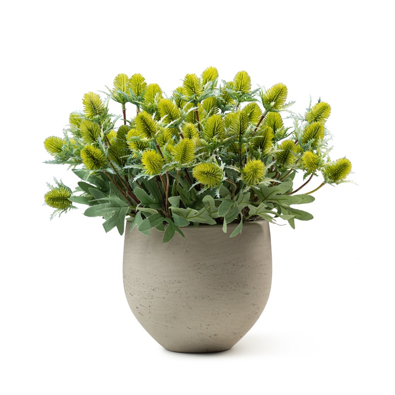 DH Green Thistle In Grey Patt Pot