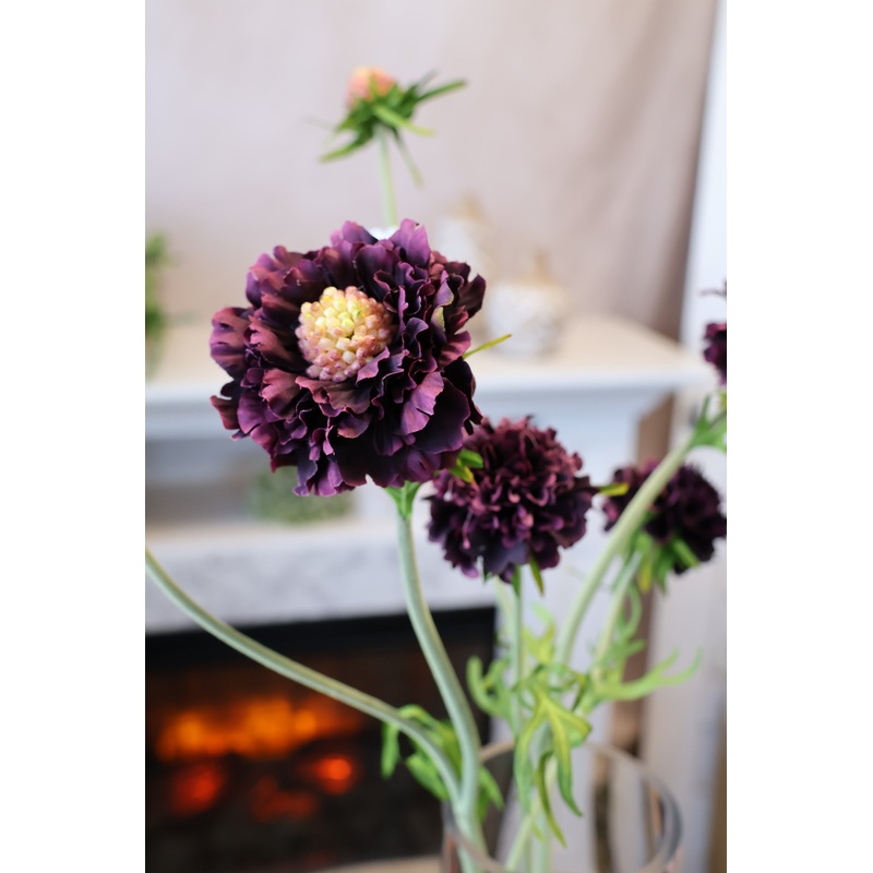 Eggplant Scabiosa Spray