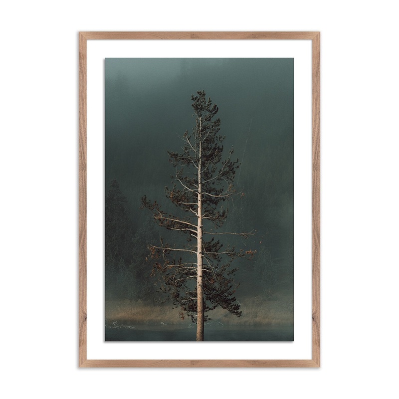 “Winds I” by Mandy Steinback