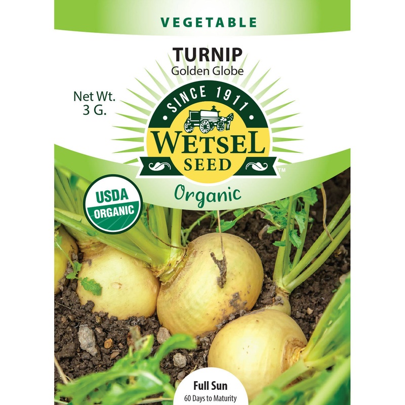 Wetsel Seed Organic Golden Globe Turnip Seed