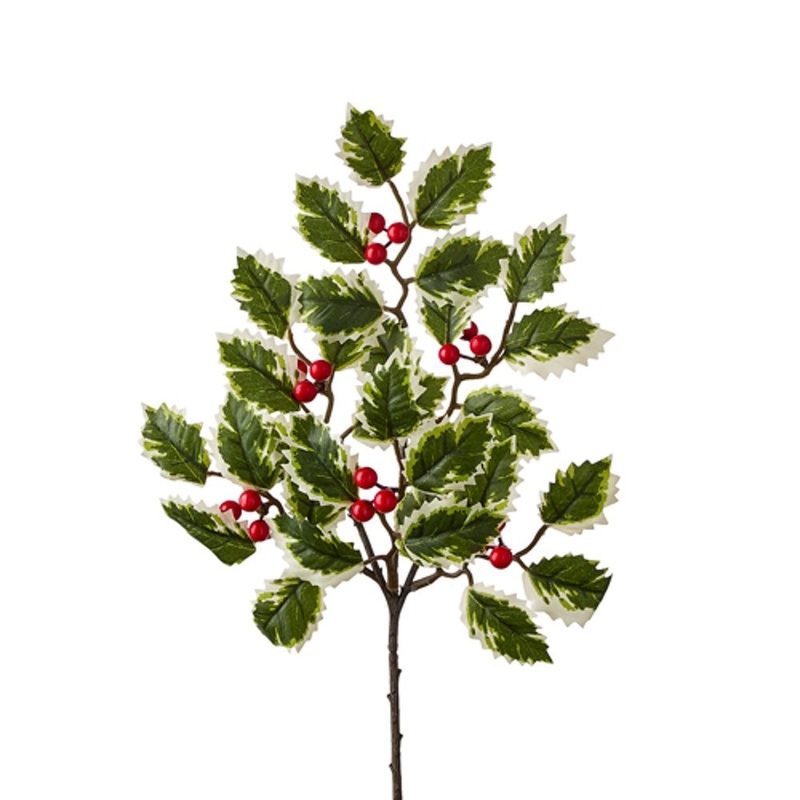 16″ Variegated Holly Branch