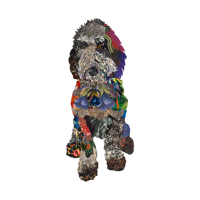 “Black Doodle” Archival Print