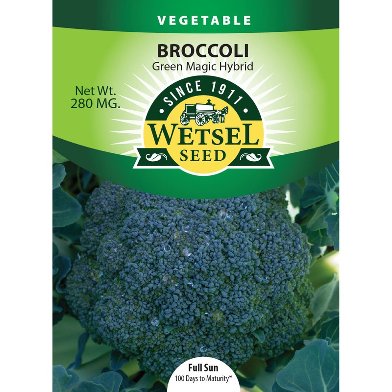 Wetsel Seed Hybrid Green Magic Broccoli Seed