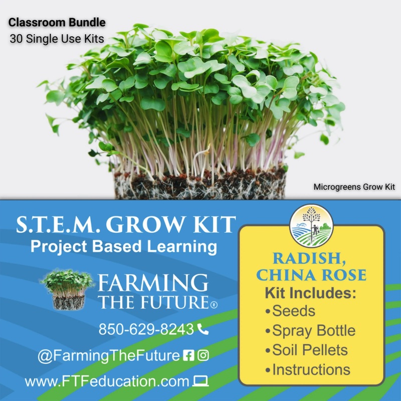 Grades K-12 STEM Student Microgreen Kit – Classroom Bundle