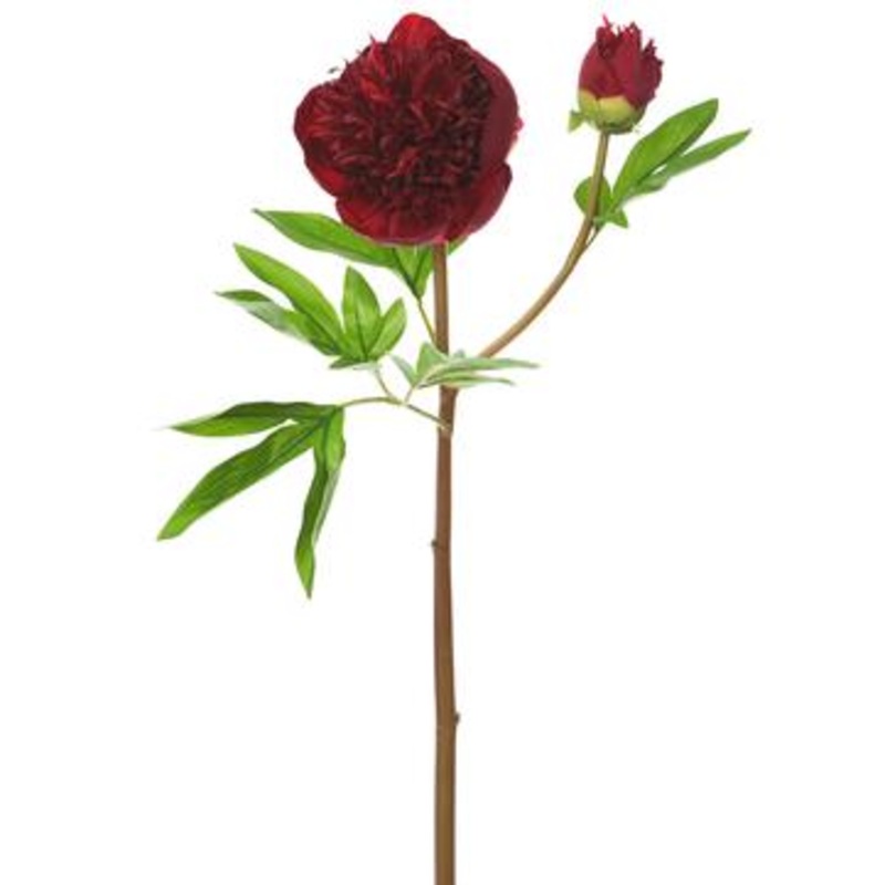 26″ Peony Stem – Burgundy