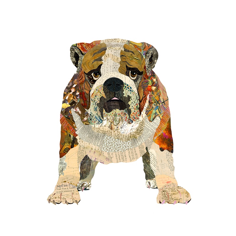 “Bulldog 2” Archival Print