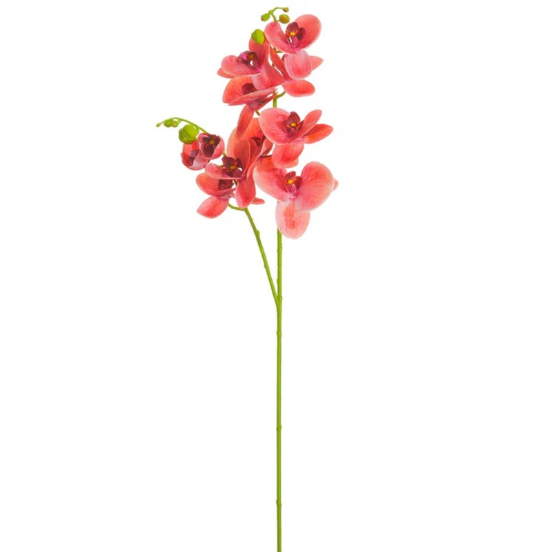 37″ Phalaenopsis Orchid Stem