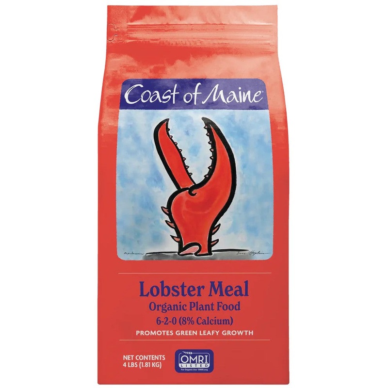 Coast of Maine Lobster Meal