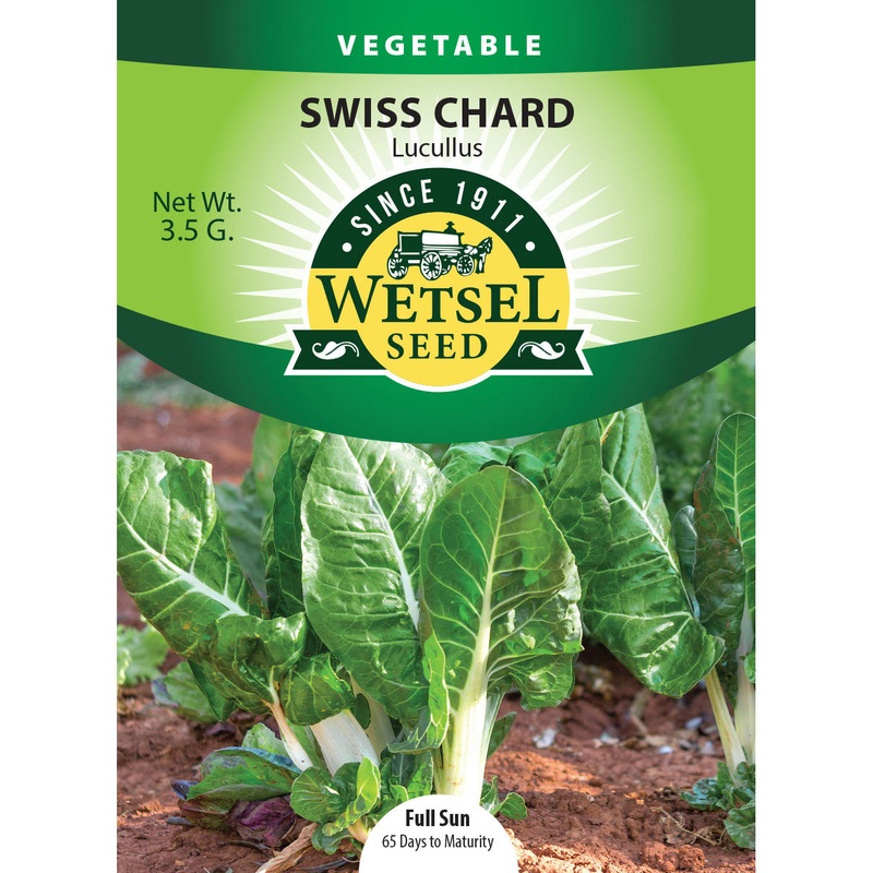 Wetsel Seed Swiss Chard Lucullus Seed