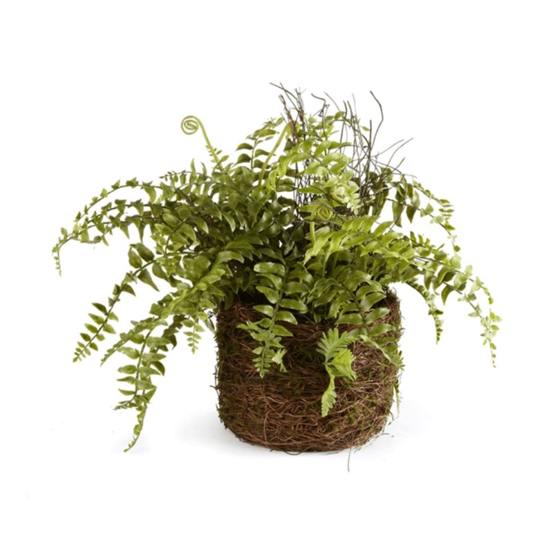 12″ Boston Fern Rustic Drop-In