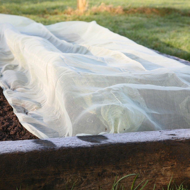 Micromesh Blanket