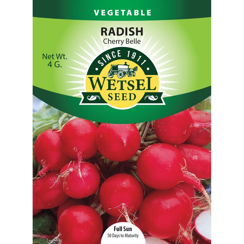 Wetsel Seed Radish Cherry Belle Seed