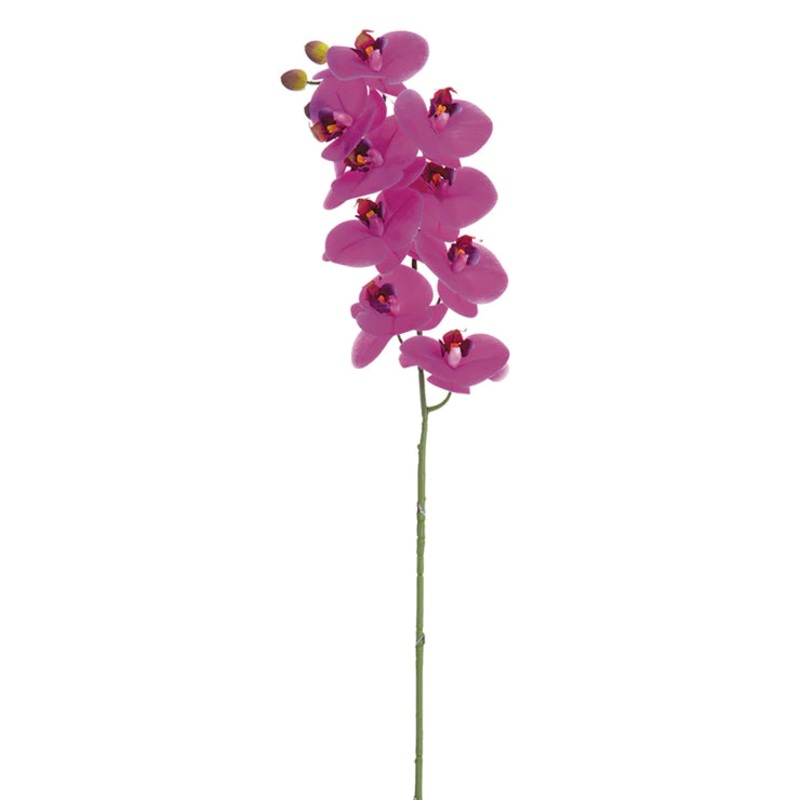 31.5″ Phalaenopsis Orchid Stem Orchid