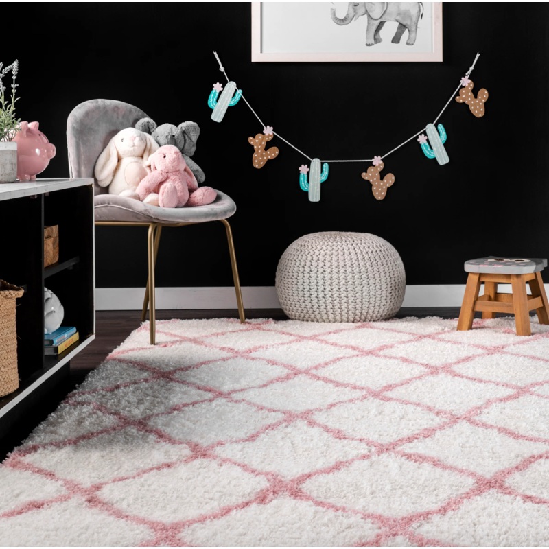 4′ x 6′ Nelda Trellis Kids Shag Area Rug