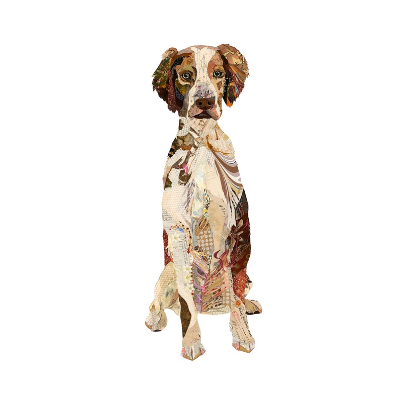 “Chester – Brittany Spaniel” Archival Print