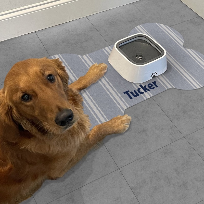 Custom Jane Dog PetFlat | Blue – Premium Vinyl Mat