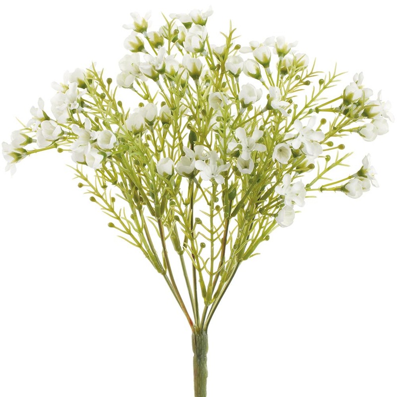 11″ Small Waxflower Bush