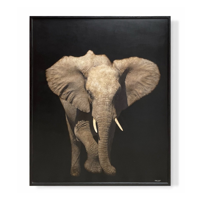 “Elephant”