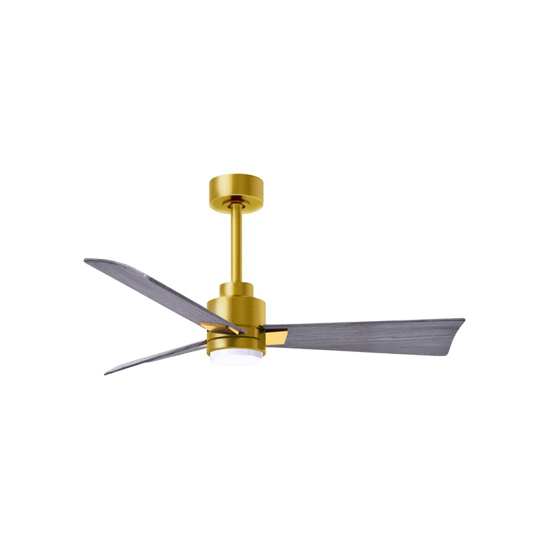 Alessandra Indoor / Outdoor LED Ceiling Fan