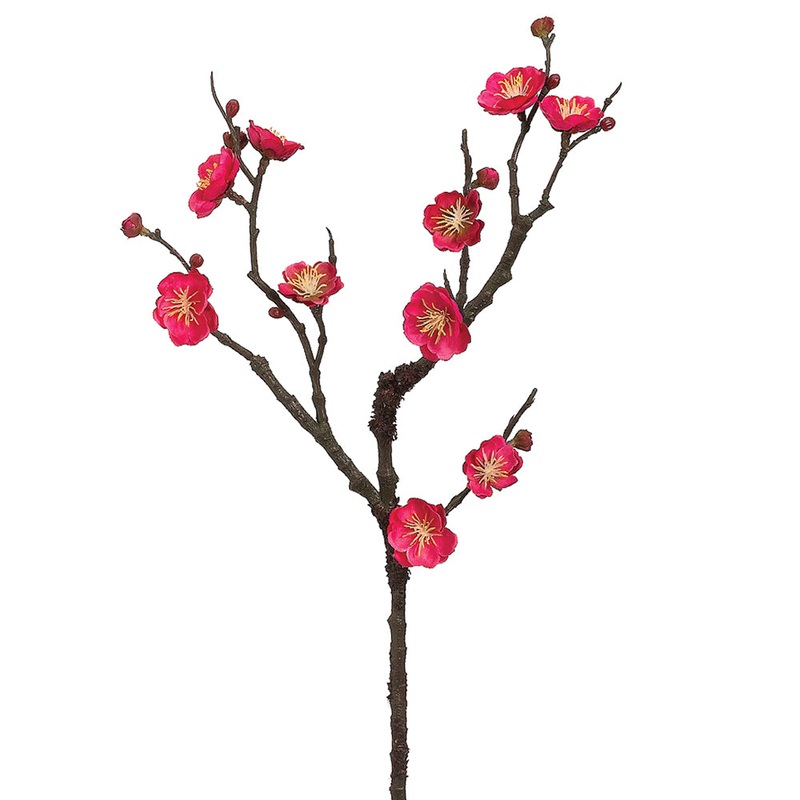 Plum Blossom